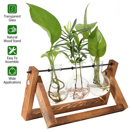 Desktop Glass Planter Bulb Plant Terrarium with Wooden Stand - Home Traders Sources