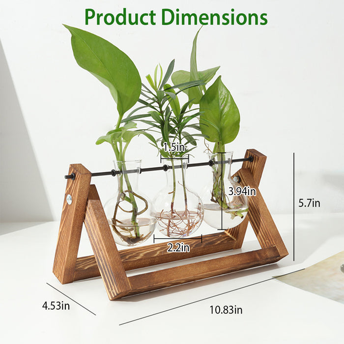 Desktop Glass Planter Bulb Plant Terrarium with Wooden Stand - Home Traders Sources