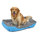 Washable Pet Bed - Home Traders Sources