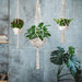 2Pcs Plant Hanger Cotton Rope Plant 40inc - Home Traders Sources